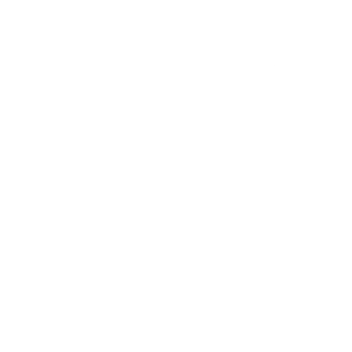 icon of age calculator