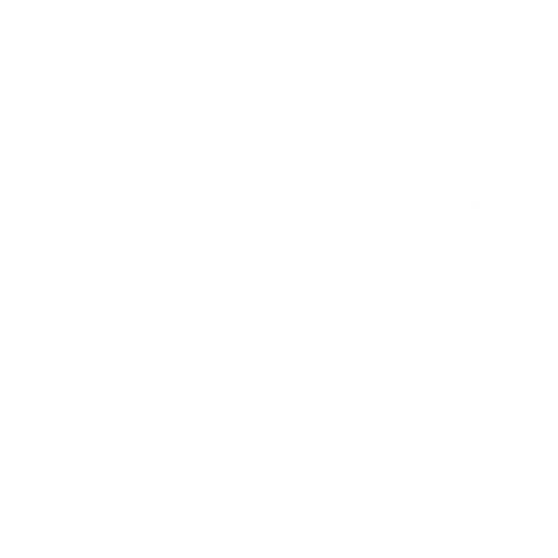 icon of birthday problem calculator